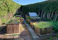 ***OPEN HOUSE Freitag 13. Juni 2025 12-16 Uhr***Großzügiges Ein- oder Zweifamilienhaus mit wunderschönem Garten