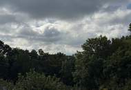 Einfamilienhaus mit großem Keller und traumhaftem Wald-Blick