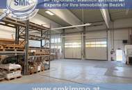 PEFEKTE HALLE - GETEILT!