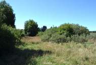 Großzügiges Einfamilienhaus in Reingers nahe Müllerteich – fast belagsfertig