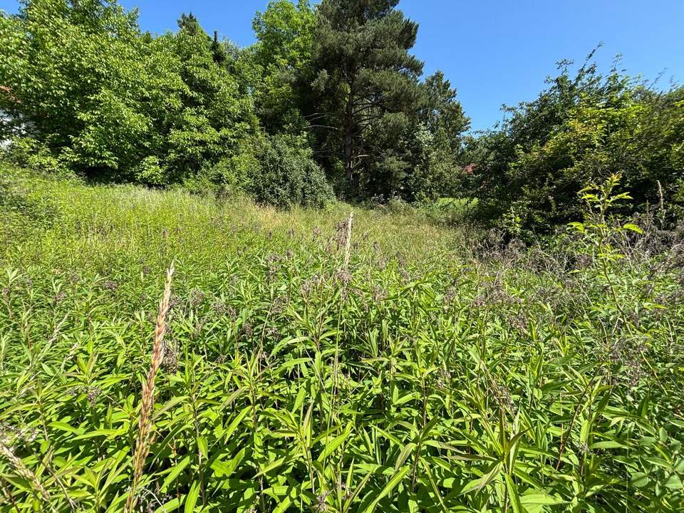 Attraktives Baugrundstück in Pramhof ohne Bauzwang