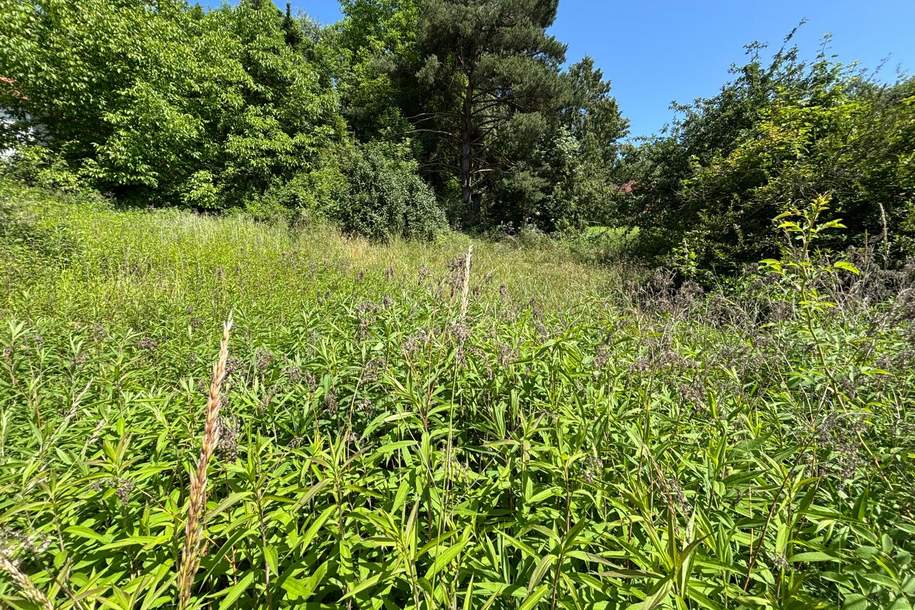 Attraktives Baugrundstück in Pramhof ohne Bauzwang, Grund und Boden-kauf, 59.000,€, 4782 Schärding