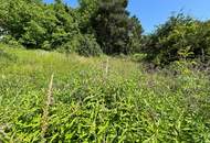 Attraktives Baugrundstück in Pramhof ohne Bauzwang