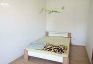 3 Wohneinheiten und ein Geschäftslokal mit vielen Lagerräumen auf 4.499m² Grund im Bauland Mischgebiet!