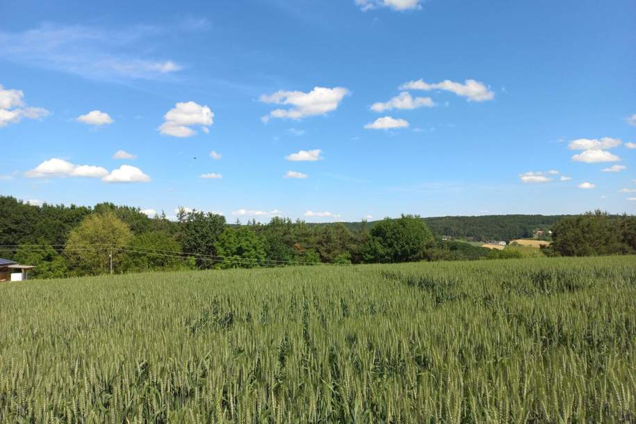 Baugrund in Ruhelage mit Anbindung an die S7, Grund und Boden-kauf, 169.000,€, 7543 Güssing