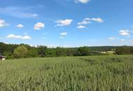 Baugrund in Ruhelage mit Anbindung an die S7