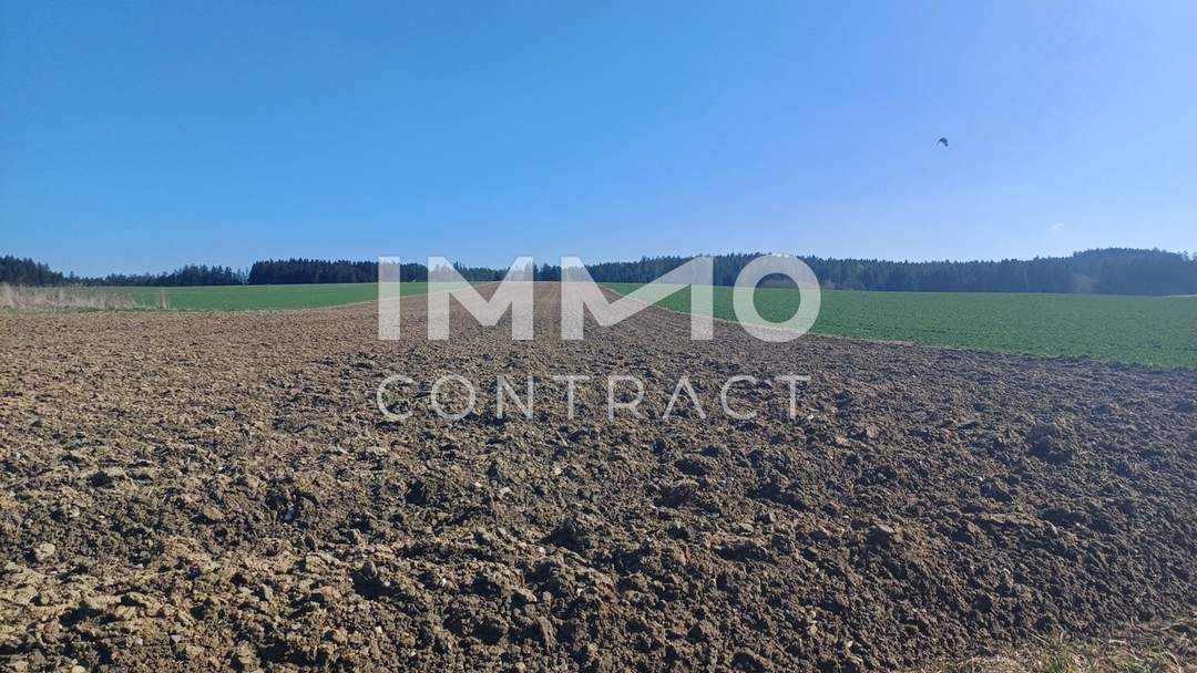 Landwirtschaftliche Ackerfläche 1,98 ha in Waldviertel