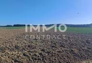 Landwirtschaftliche Ackerfläche 1,98 ha in Waldviertel