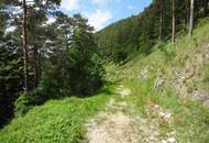 GUT ERSCHLOSSENER WALD, ZUR NACHHALTIGEN NUTZUNG UND ANLAGEZWECKEN!