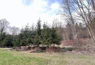 Waldfläche in St. Florian zu verkaufen!