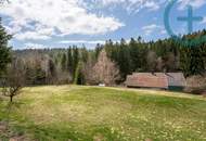 TRAUMGRUNDSTÜCK: Ruhig gelegenes Einfamilienhaus mit 1185m² Garten