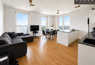 WOHNEN MIT WEITBLICK | EXKLUSVE 3 ZIMMER | UMLAUFENDE TERRASSE | HOCHWERTIGE DESIGNERKÜCHE | FERNBLICK DONAU