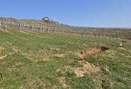 Modernes Chalet - Architektur im Weingarten - Ihr neues Feriendomizil