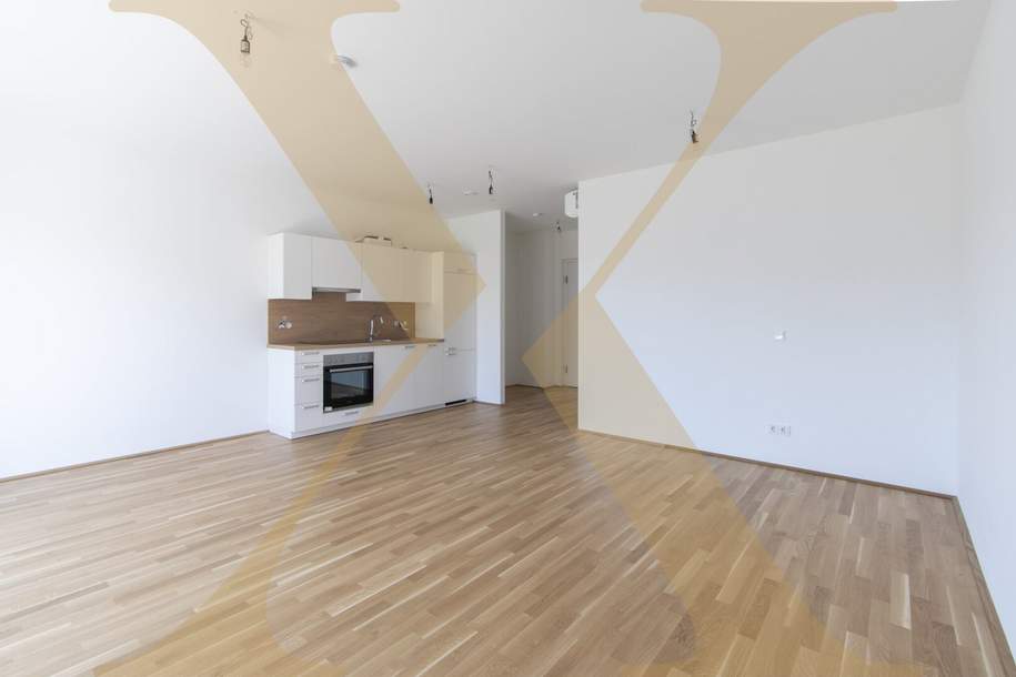 Moderne 1-Zimmer-Wohnung mit gemütlichem Balkon nähe Hummelhofwald in Linz zu vermieten!, Wohnung-miete, 599,00,€, 4020 Linz(Stadt)