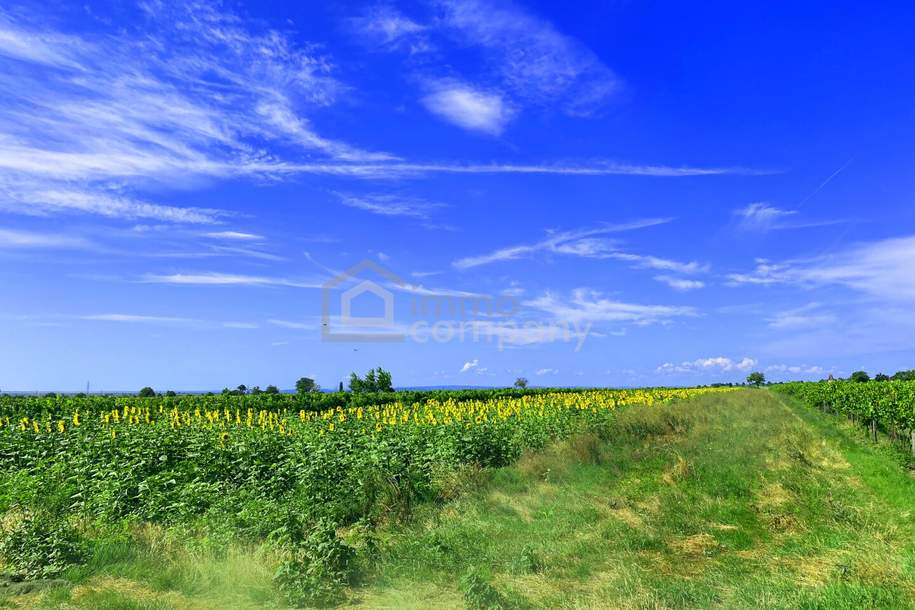 Große Freiheit, Grund und Boden-kauf, 348.000,€, 7092 Neusiedl am See