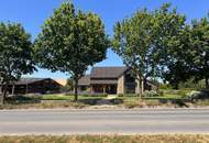Großzügiges Baugrundstück 1487m² in 2126 Pürstendorf – Eigenheim nach Wunsch!