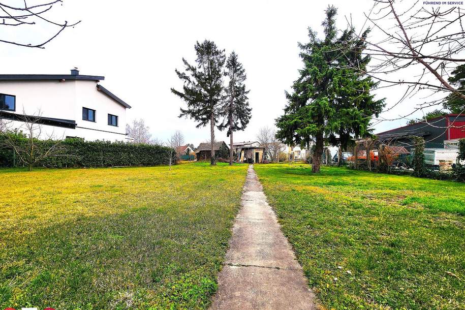 Stadtgrenze Wien, nicht aufgeschlossenes Grundstück,Nähe Gänserndorf, Grund und Boden-kauf, 268.000,€, 2283 Gänserndorf