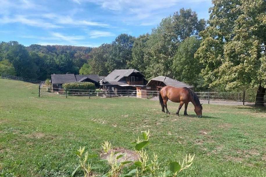 Der Traum vom eigenen Pferdehof, Grund und Boden-kauf, 405.000,€, 7540 Güssing
