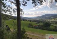 Schöner Baugrund im Meran des Waldviertels!