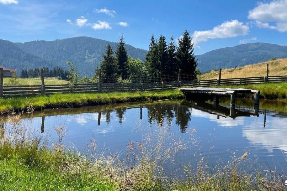 Einzigartige Landwirtschaft inkl. Hofstelle und eigener Quelle, umgeben von 52 ha arrondierter Wald- und Wiesenfläche, Gewerbeobjekt-kauf, 9562 Feldkirchen