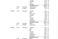 Penthouse der Extraklasse mit Dachterrasse. Zentrum. Spittal.