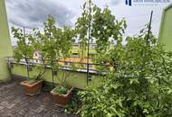 Wunderschöne 3 Zimmer DG-Maisonette Wohnung mit Balkon, Terrasse, Loggia & optionalem Tiefgaragenstellplatz zu mieten – 95m² Wohlfühloase!