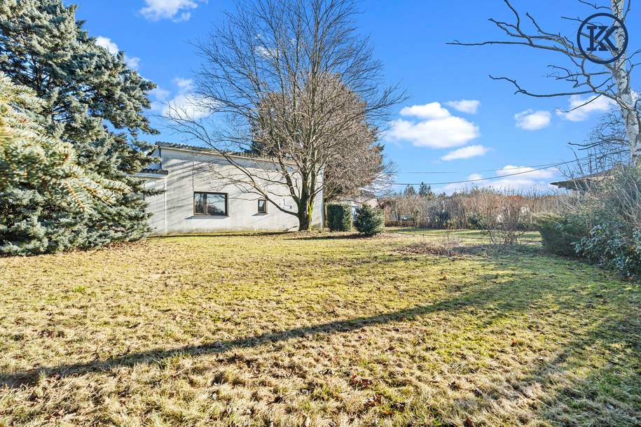 Ein Haus für kreative Köpfe, Haus-kauf, 650.000,€, 1220 Wien 22., Donaustadt