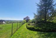 Seltene Gelegenheit: Winzerhaus auf uneinsehbarem Grundstück | ZELLMANN IMMOBILIEN