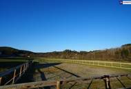 HISTORISCHER HOF IN DER GRÜNEN STEIERMARK: Ein Platz für große Pläne – von Landwirtschaft bis Pferdeparadies