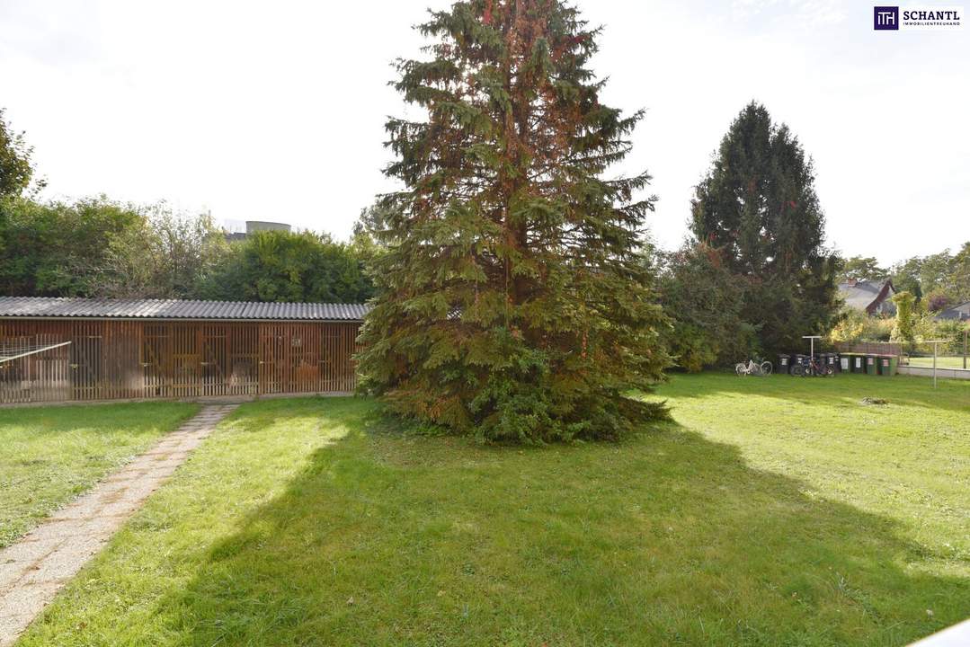 Attraktive RUHELAGE in absoluter STADTNÄHE am MURRADWEG! WG geeignet! Ab sofort verfügbar!