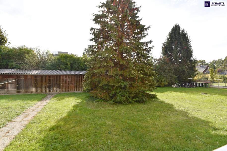 Attraktive RUHELAGE in absoluter STADTNÄHE am MURRADWEG! WG geeignet! Ab sofort verfügbar!, Wohnung-miete, 599,00,€, 8045 Graz(Stadt)