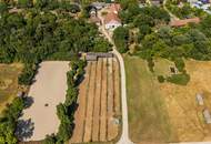 "Großzügiges Grundstück mit Pferdehof und sanierungsbedürftigem Haus – nur Minuten von Wien entfernt"