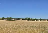 authentisches Weinviertler Bauernhaus in idyllischer Lage