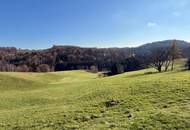 Landwirtschaft - Pferdehaltung - Wohnen in Aussichtslage mitten in der Natur auf 8 Ha