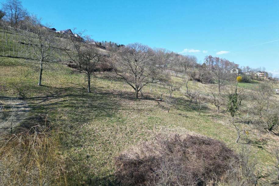 Baugrund - Sonnenlage - Aussichtslage - Hanglage am Ring in Hartberg, Grund und Boden-kauf, 79.000,€, 8230 Hartberg-Fürstenfeld