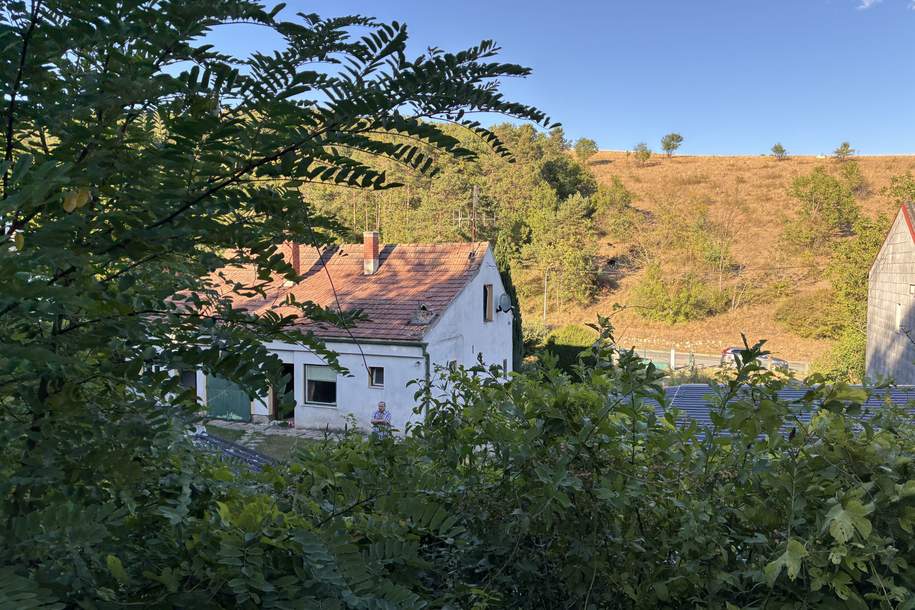 Großes Grundstück-1947m2- in Waldrandlage mit Altbestand zum Sanieren, Haus-kauf, 269.000,€, 7082 Eisenstadt-Umgebung