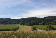 Sonnige Aussichten für Ihr Eigenheim in Goggitsch
