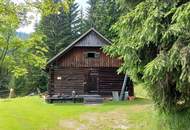 Forst und Jagdgebiet im Bezirk Wolfsberg