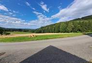 Sanierungsobjekt mit mehreren Wohnungen in absoluter Ruhelage