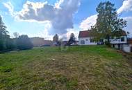 GRÜNBLICK MIT POTENTIAL!