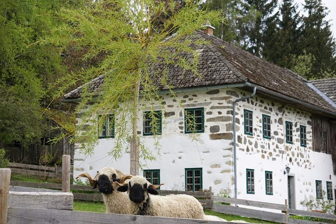 Traditioneller Mühlviertler Stoabloßhof in idyllischer Ruhelage - Oberhalb der Nebelgrenze