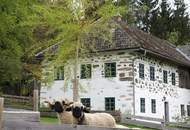 Traditioneller Mühlviertler Stoabloßhof in idyllischer Ruhelage - Oberhalb der Nebelgrenze
