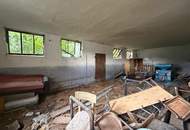 Sanierungsbedürftiger Vierkanthof in ruhiger Ortsrandlage! 6.100 m² Grundstück mit 4.100 m² Bauland & Platz für Tierhaltung