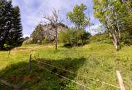Ankommen und Ausspannen auf 950 m² Naturglück