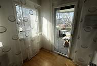 Freifläche und Nähe Neufeldersee - helle, moderne Wohnung mit Balkon und Autostellplatz (möblierte Übernahme möglich)