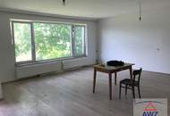 Älterer Bungalow in Wiennähe mit toller Öffianbindung