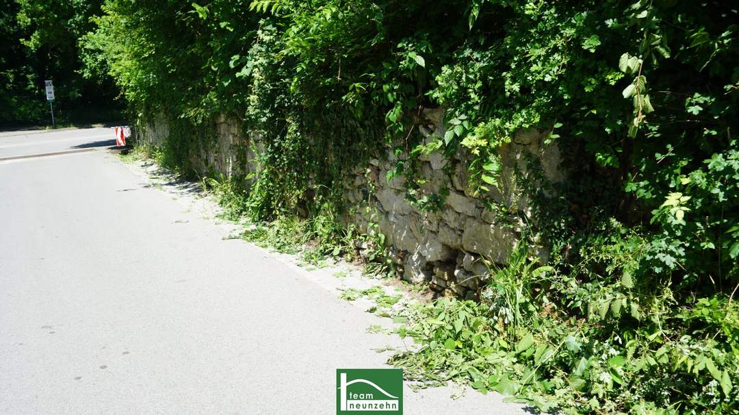 Einmaliger Eck-Baugrund, in wunderschöner Lage mit Einfriedungs-Steinmauer.