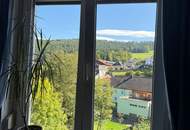 Preisanpassung - Ertragsliegenschaft gemischt mit Gewerbe und Wohnungseigentum - bestandsfrei
