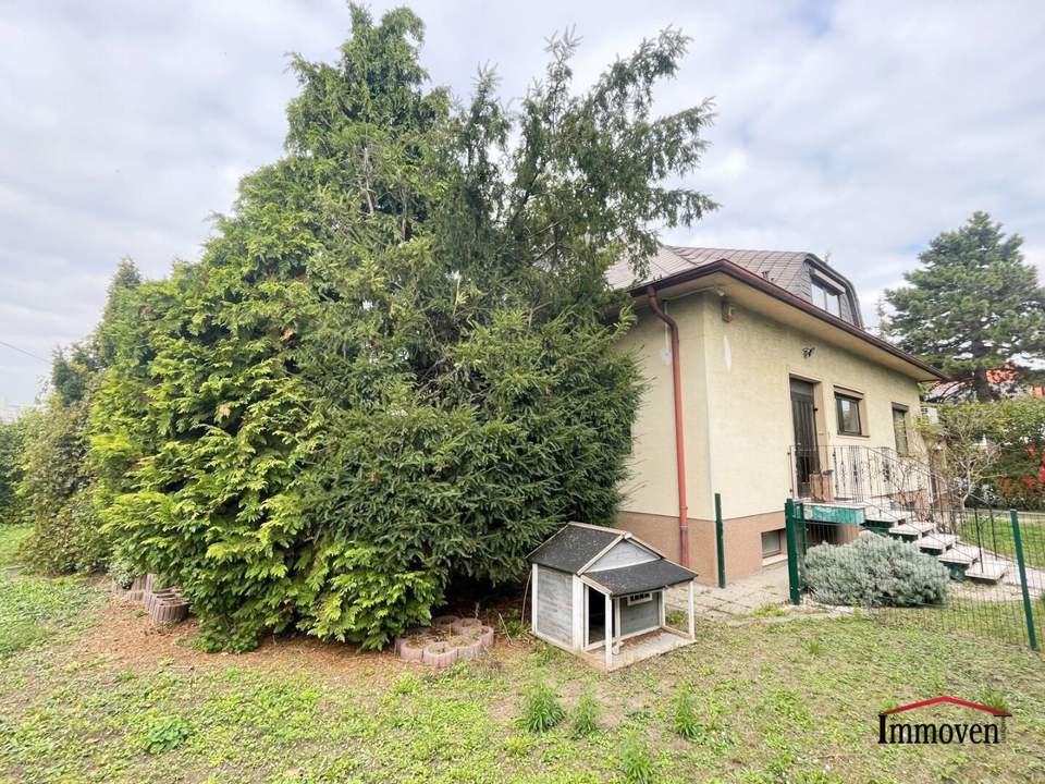 Ein großzügiges Einfamilienhaus in Aspern!