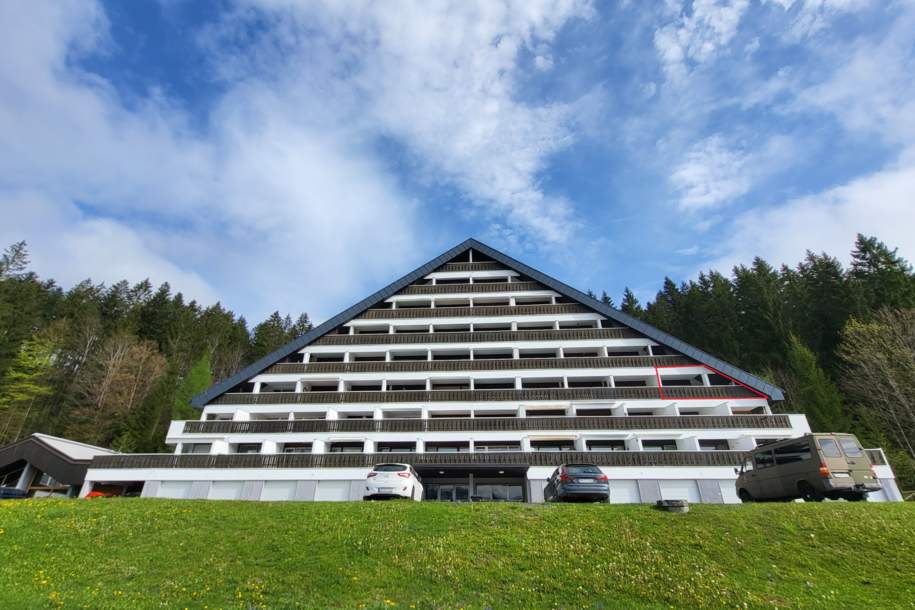 NEUER PREIS!!! Herrliche Ferienwohnung mit einzigartiger Aussicht!, Wohnung-kauf, 169.000,€, 8983 Liezen